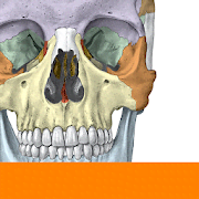 Sobotta Anatomy Atlas 2.10.6 Mod (Unlocked)