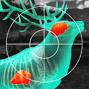 Wild Hunt:Sport Hunting Games 1.462 Mod (Unlimited Bullets)