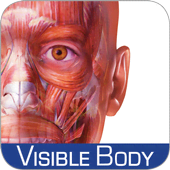 Muscle Premium - Human Anatomy Kinesiolog 7.1.17 Mod (Unlocked)