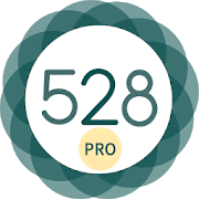 528 Player - Music With Love Like a Pro 41.37 Мод (полная версия)