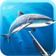 Hunter underwater spearfishing