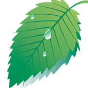 Hibernate: Real Battery Saver