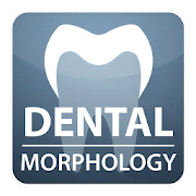 DENTAL MORPHOLOGY for Student