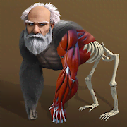 Idle Evolution - from Cell to Human