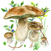 Mushrooms app fall2024v4 Mod (Unlocked)