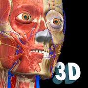 Скачать Anatomy Learning 3D 2.1.449 Mod (Unlocked)