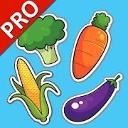 Vegetables Cards PRO (Learn English Faster) 4.15 Мод (полная версия)