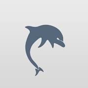 Dolphie for KWGT 1.3.5 Мод (полная версия)