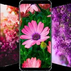 Flower Wallpapers in HD, 4K 5.0.49 Mod (Premium)