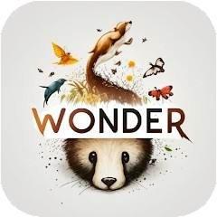 Wonder Walls 1.0.1 Мод (полная версия)