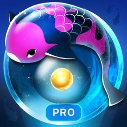 Zen Koi Pro 1.2.1 Мод (полная версия)