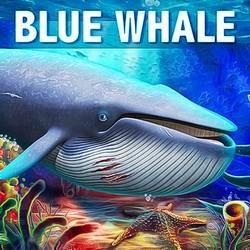 Blue Whale Simulator - Game 1.1.8 (Mod Money)