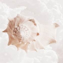 Скачать МАК: Карта Дня 2.2 Мод (полная версия)